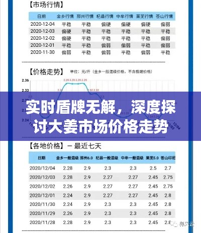 实时盾牌无解,深度探讨大姜市场价格走势