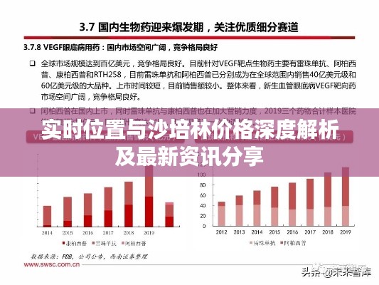 实时位置与沙培林价格深度解析及最新资讯分享