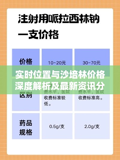 实时位置与沙培林价格深度解析及最新资讯分享
