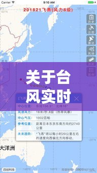 关于台风实时路径与直播间日本瓷盘价格的深度解析