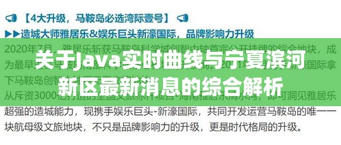 关于Java实时曲线与宁夏滨河新区最新消息的综合解析