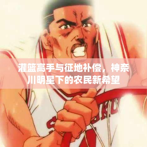 灌篮高手与征地补偿,神奈川明星下的农民新希望