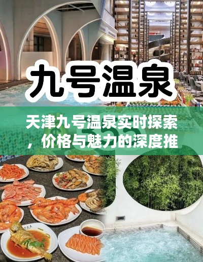 天津九号温泉实时探索，价格与魅力的深度推荐