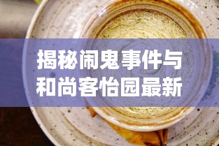揭秘闹鬼事件与和尚客怡园最新动态，神秘事件与园区新貌揭秘视频曝光