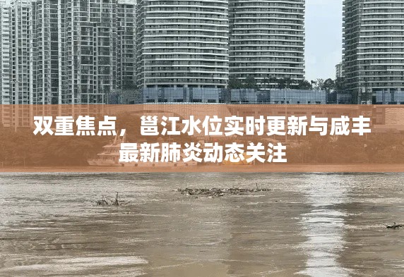 双重焦点，邕江水位实时更新与咸丰最新肺炎动态关注