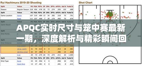 APQC实时尺寸与笼中赛最新一期,深度解析与精彩瞬间回顾