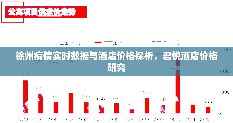 徐州疫情实时数据与酒店价格探析，君悦酒店价格研究