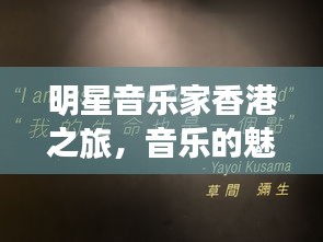 明星音乐家香港之旅，音乐的魅力与旅行的足迹