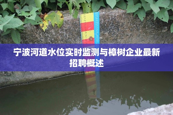 宁波河道水位实时监测与樟树企业最新招聘概述