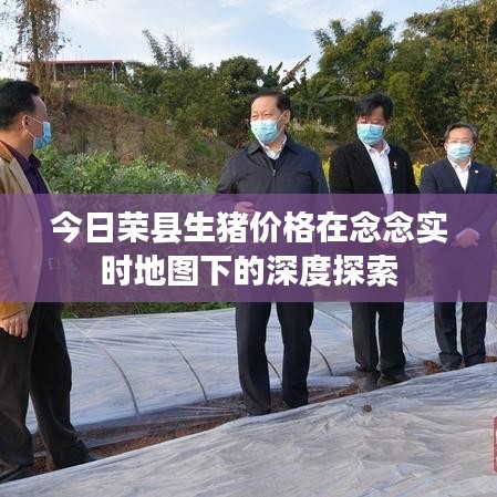 今日荣县生猪价格在念念实时地图下的深度探索