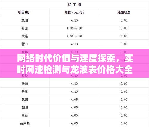 网络时代价值与速度探索,实时网速检测与龙波表价格大全