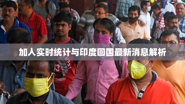 加人实时统计与印度回国最新消息解析