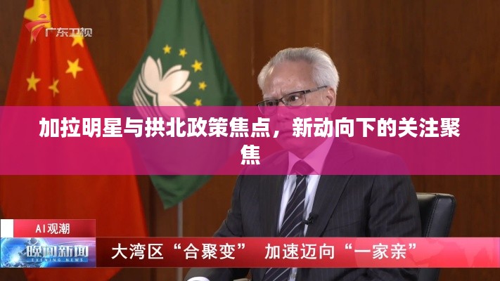 加拉明星与拱北政策焦点，新动向下的关注聚焦