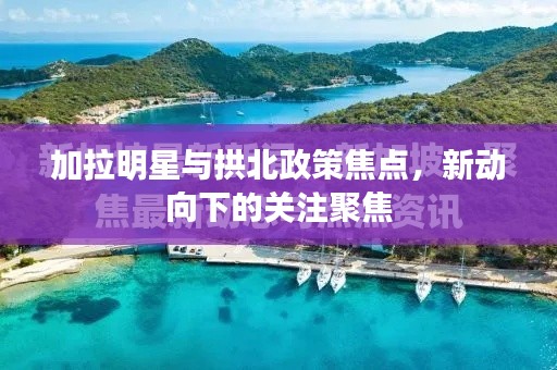 加拉明星与拱北政策焦点,新动向下的关注聚焦