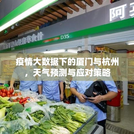 疫情大数据下的厦门与杭州，天气预测与应对策略