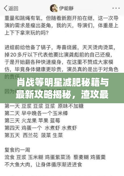 肖战等明星减肥秘籍与最新攻略揭秘，渣攻最新章节探秘