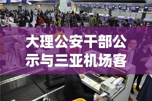 大理公安干部公示与三亚机场客流动态，深度解读背后的故事