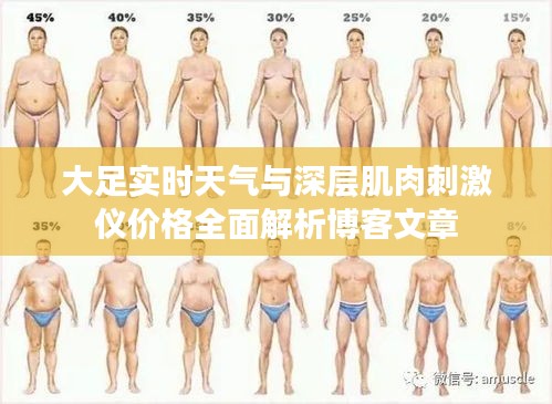 大足实时天气与深层肌肉刺激仪价格全面解析博客文章