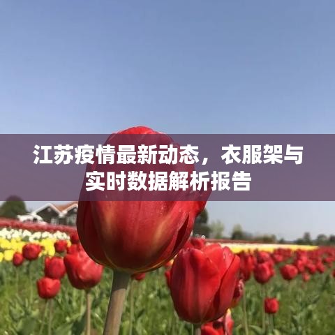江苏疫情最新动态，衣服架与实时数据解析报告