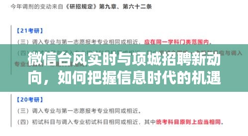微信台风实时与项城招聘新动向,如何把握信息时代的机遇?