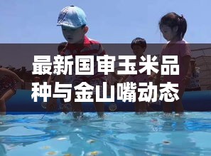 最新国审玉米品种与金山嘴动态报道