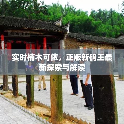 实时楠木可依，正版新码王最新探索与解读