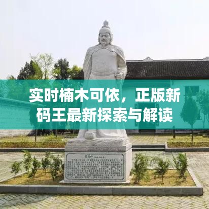 实时楠木可依,正版新码王最新探索与解读