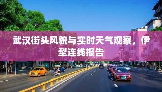 武汉街头风貌与实时天气观察,伊犁连线报告