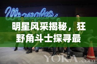 明星风采揭秘，狂野角斗士探寻最新一期节目中的表演之星