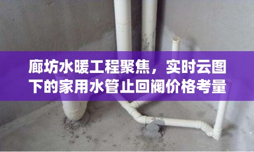 廊坊水暖工程聚焦，实时云图下的家用水管止回阀价格考量