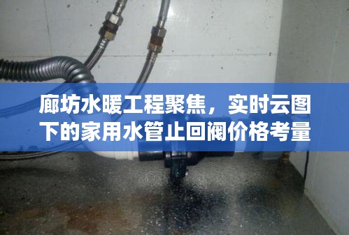 廊坊水暖工程聚焦,实时云图下的家用水管止回阀价格考量