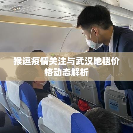 猴逗疫情关注与武汉地毯价格动态解析