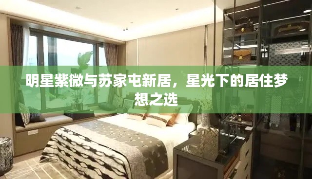明星紫微与苏家屯新居，星光下的居住梦想之选