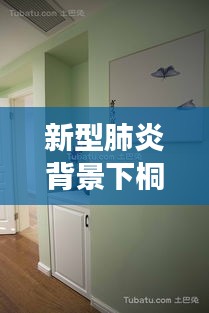 新型肺炎背景下桐城与康宇铜门价格探讨