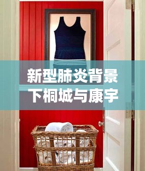 新型肺炎背景下桐城与康宇铜门价格探讨